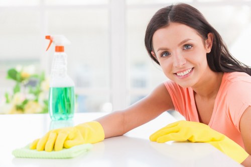 Professional upholstery cleaning in a Westhampstead living room