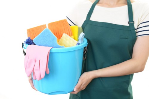 Professional carpet cleaner in West Hampstead removing dirt from a living room carpet