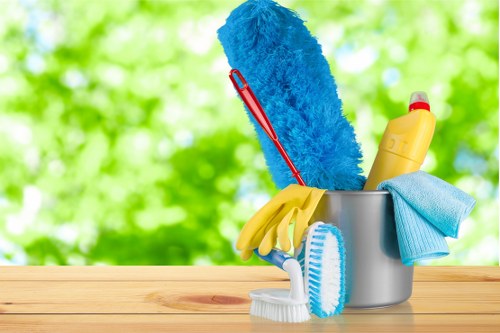 Professional oven cleaning in a Westhampstead kitchen