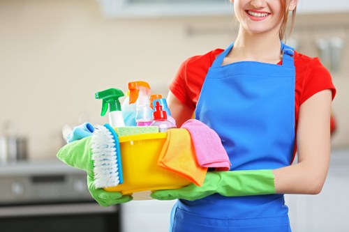 Detailed carpet cleaning service in West Hampstead interior