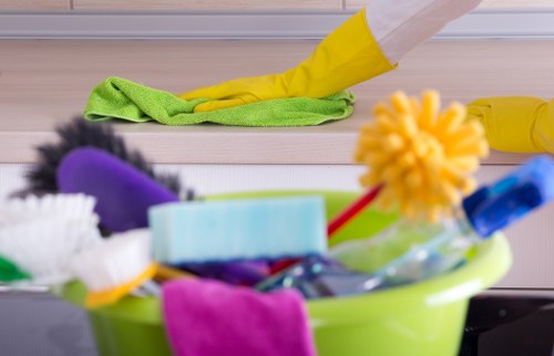 Professional cleaners in Westhampstead working in a modern apartment