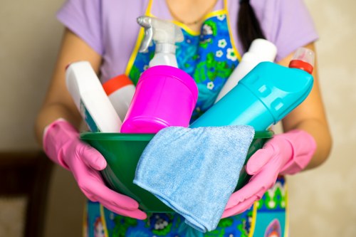 Bathroom cleaning in Westhampstead with attention to hygiene