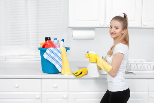 Professional cleaner in Westhampstead providing home cleaning services
