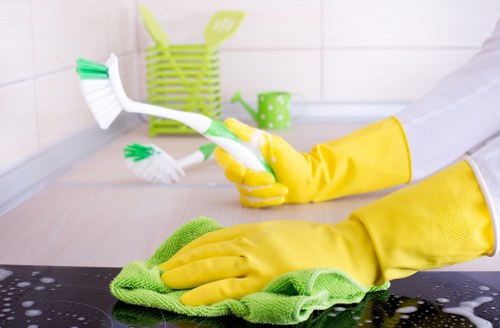 Deep carpet cleaning process in a West Hampstead home