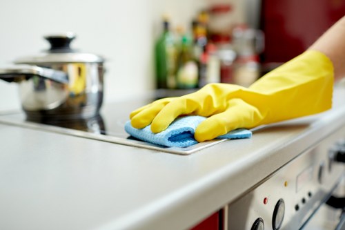 Vacuuming and dusting in a Westhampstead household