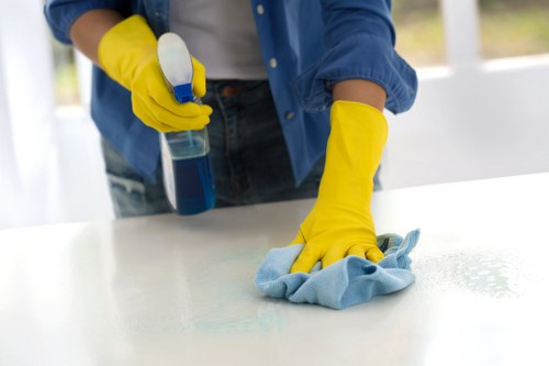 Local cleaner in Westhampstead handling domestic cleaning tasks