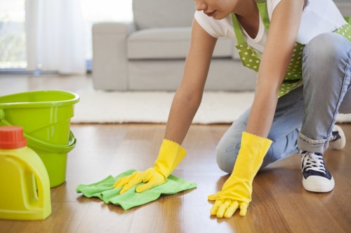 Deep cleaning service from a cleaner in Westhampstead in a modern apartment