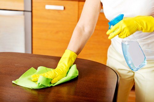 Illustration of cookie categories for a cleaning service website